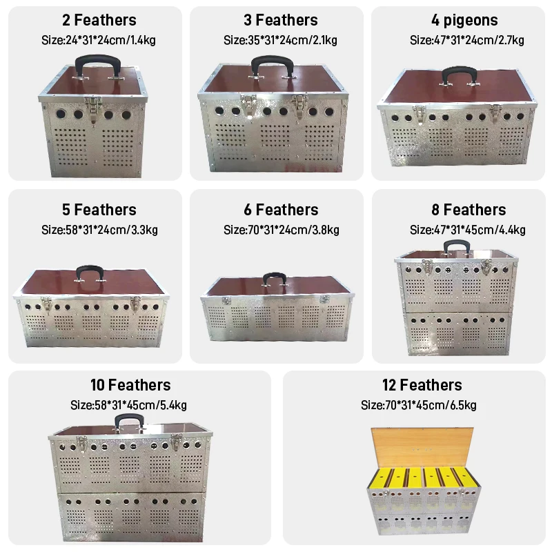 Factory sales 3-hole pigeon cage design aviary pigeon house with pets