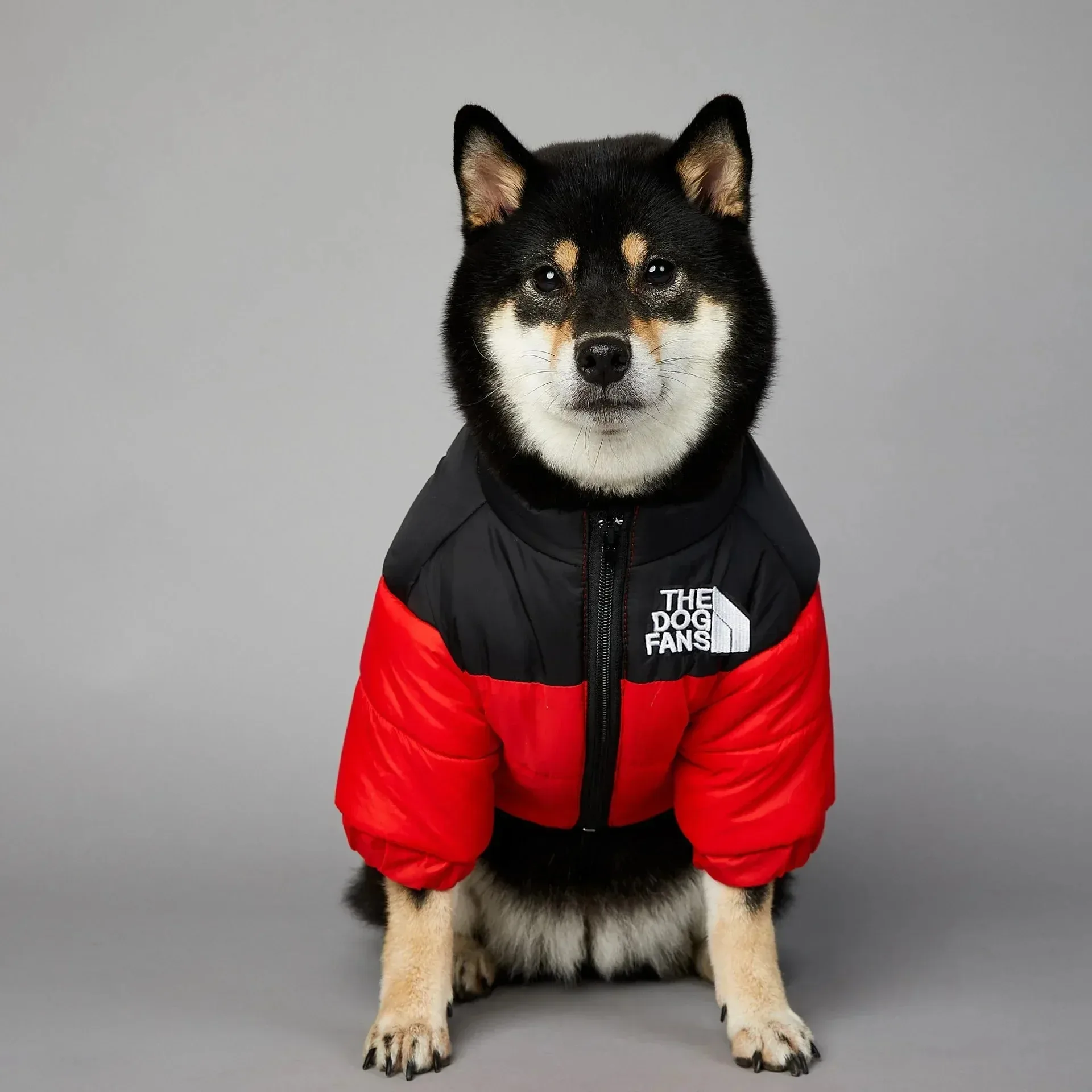 Thumbnail 2 - #2 Top Dog Coats Picks for Every Budget