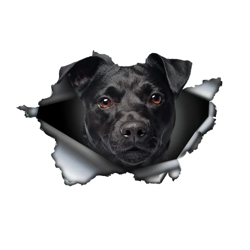 DK388# Patterdale Terrier Car Bumper Window Stickers For Car Truck Van Fashion Decals Vinyl Material Stickers