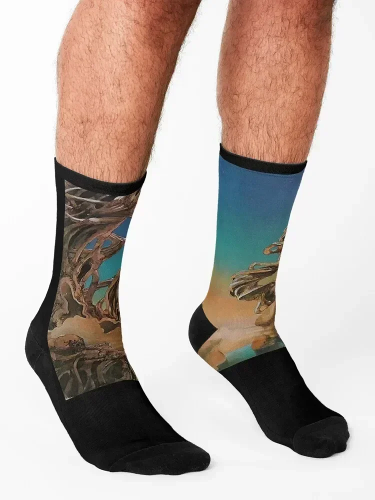 Рисунок 3 - Да, группа, носки