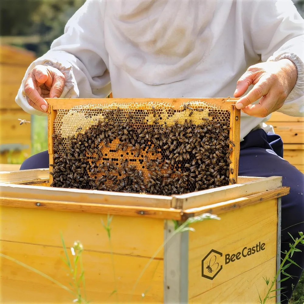 20 عبوة من إطارات خلية النحل مع ورقة أساس مشمعة، إطارات خلية النحل المفككة، مقاس 9-1/8 بوصة