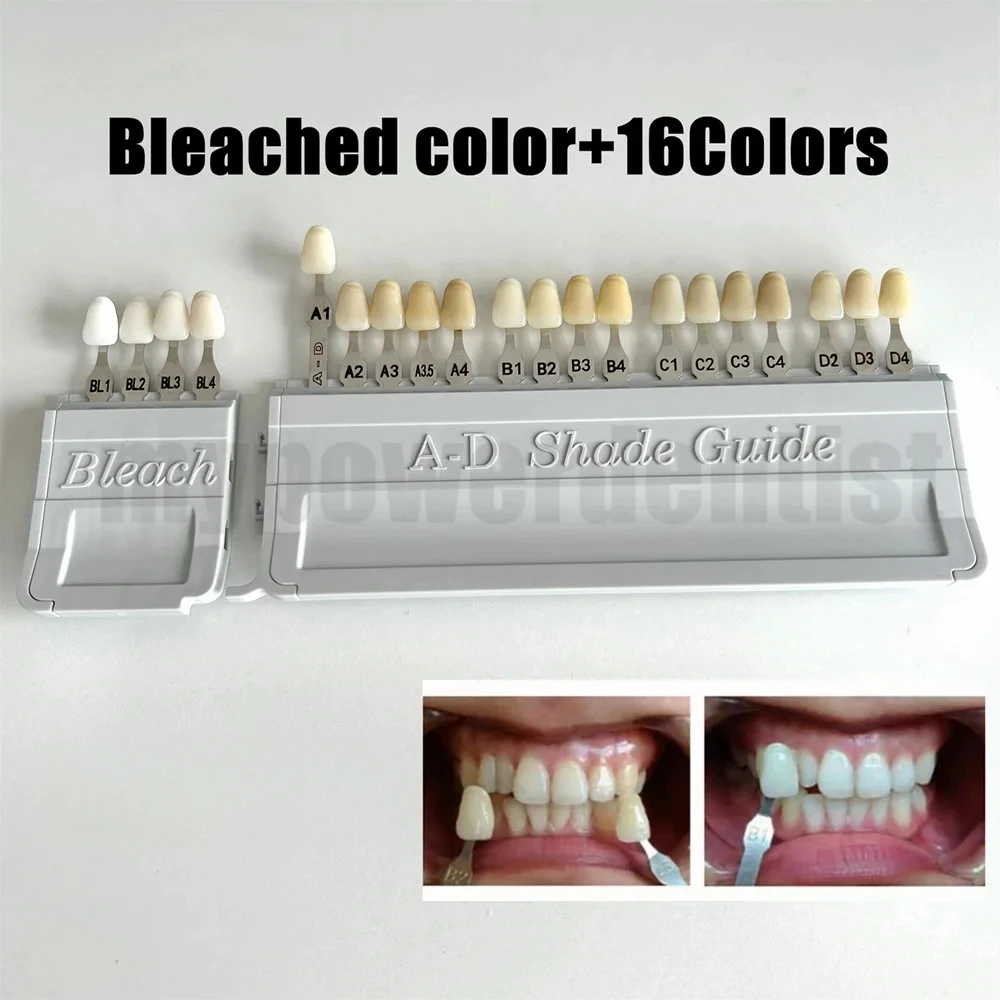 

Dental Teeth Shade Guide Porcelain 20Color A-D Tooth 4-Bleach