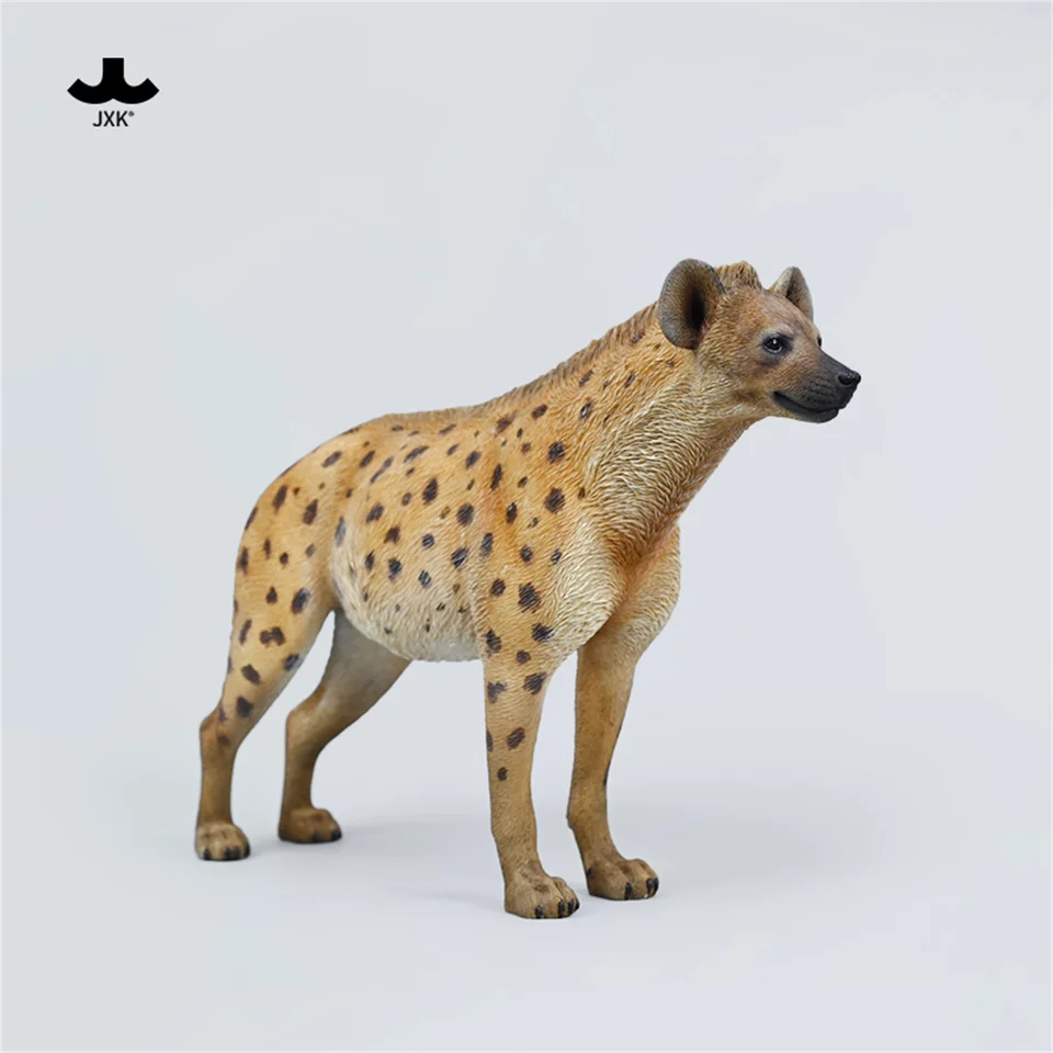 JXK 1/6 African Hyena Model Wild Animal Hyaenidae Figure Scene