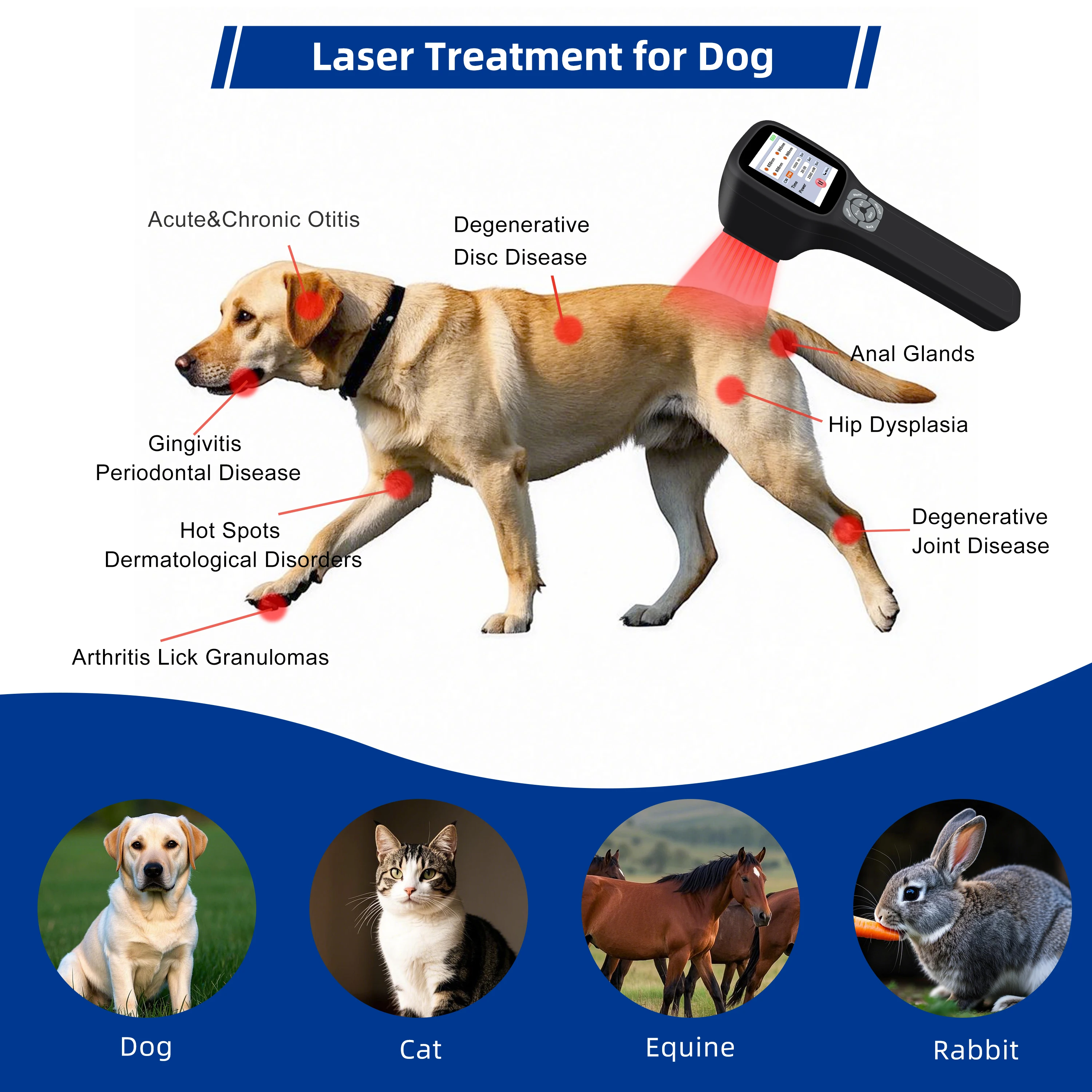 

NEW2026 650nm 808nm 905nm 980nm Class 4 Energy Saving Laser Equipment for Physical Rehabilitation Pain Care and Bursitis