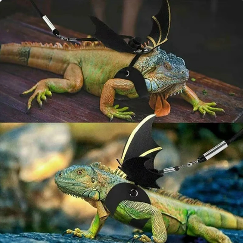 ชุดสายจูง Lizard Harness, สัตว์เลี้ยงปีนเขาออกไปสายรัดหน้าอกปีกหนัง, เชือกลากกระรอก