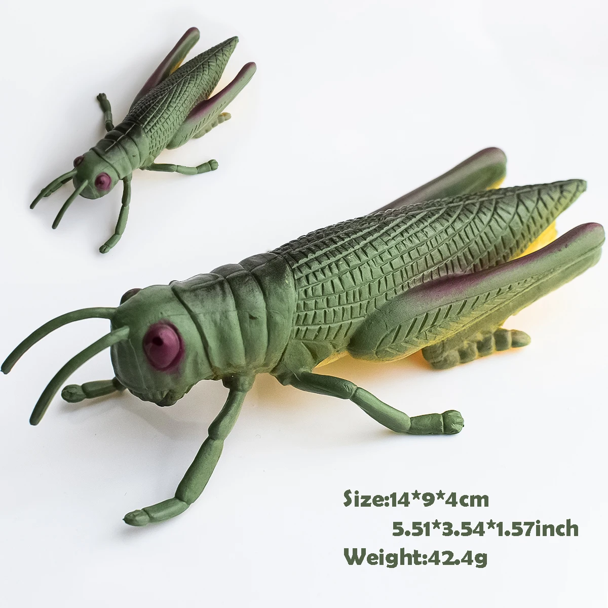 2 Types of Simulated Insect Models | Locusts | Garden Decoration Ornaments | Desktop Decorations | Teaching Aids | Children's Understanding of Insects | Early Education at Home | Birthday Anniversary Party Holiday Gifts | Halloween, Christmas, Hanukkah, Easter, Day of the Dead, Winter Gifts | Festive Atmosphere Decorations
