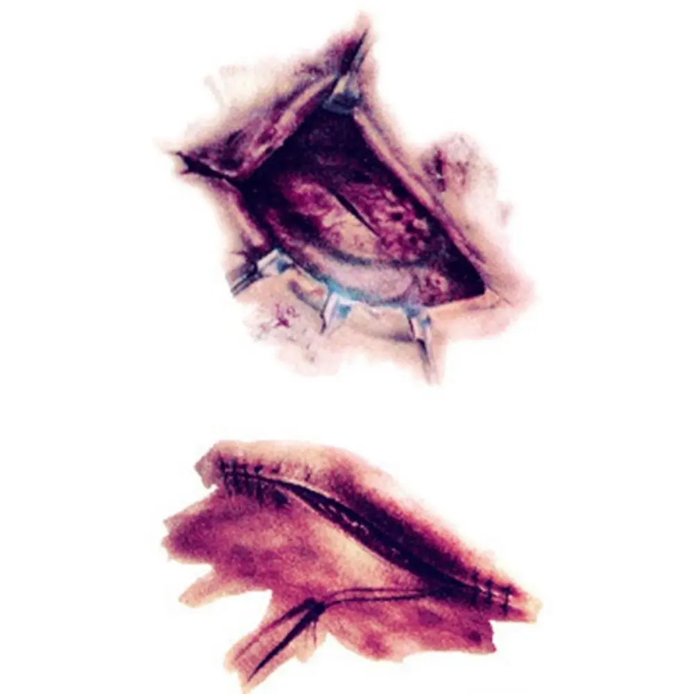 페이스 패치 할로윈 임시 문신 방수 사실적인 문신 스티커 거미 흉터 DIY 흉터 거미 디자인