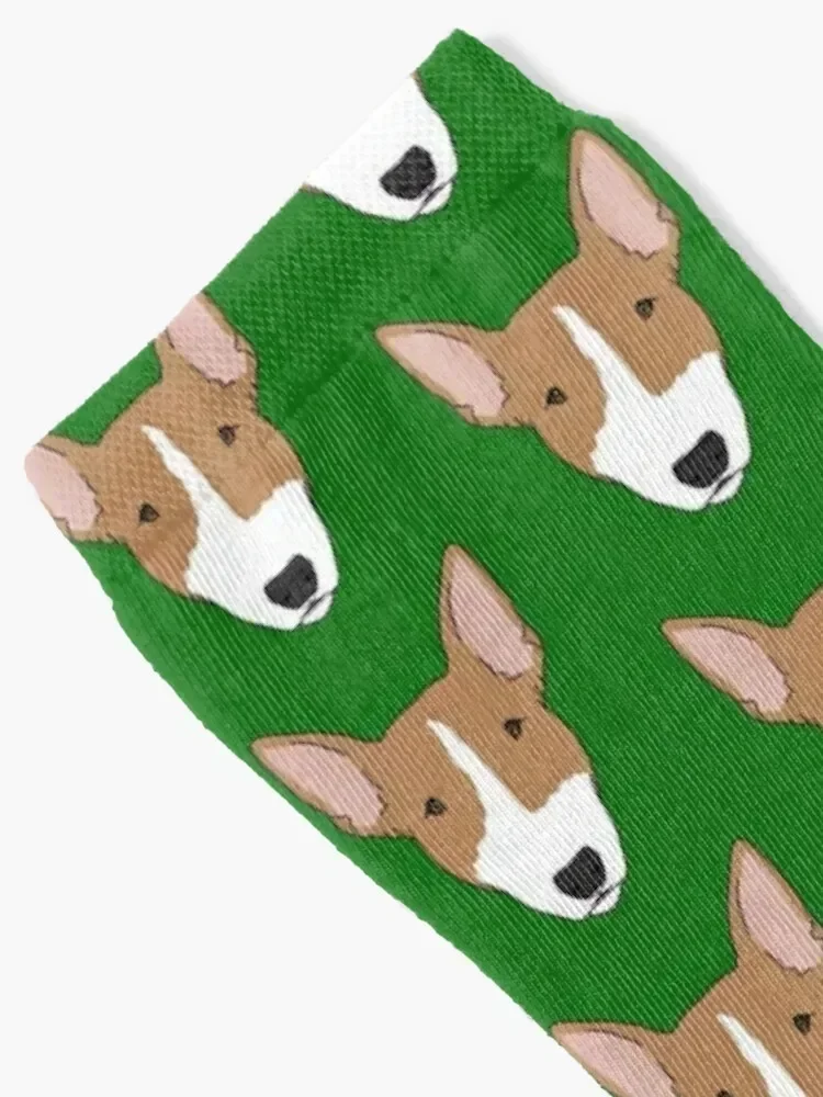 Bull Terrier Socks bright garter hiking Running basketball Men Socks Women's