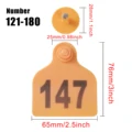 121-180 Orange