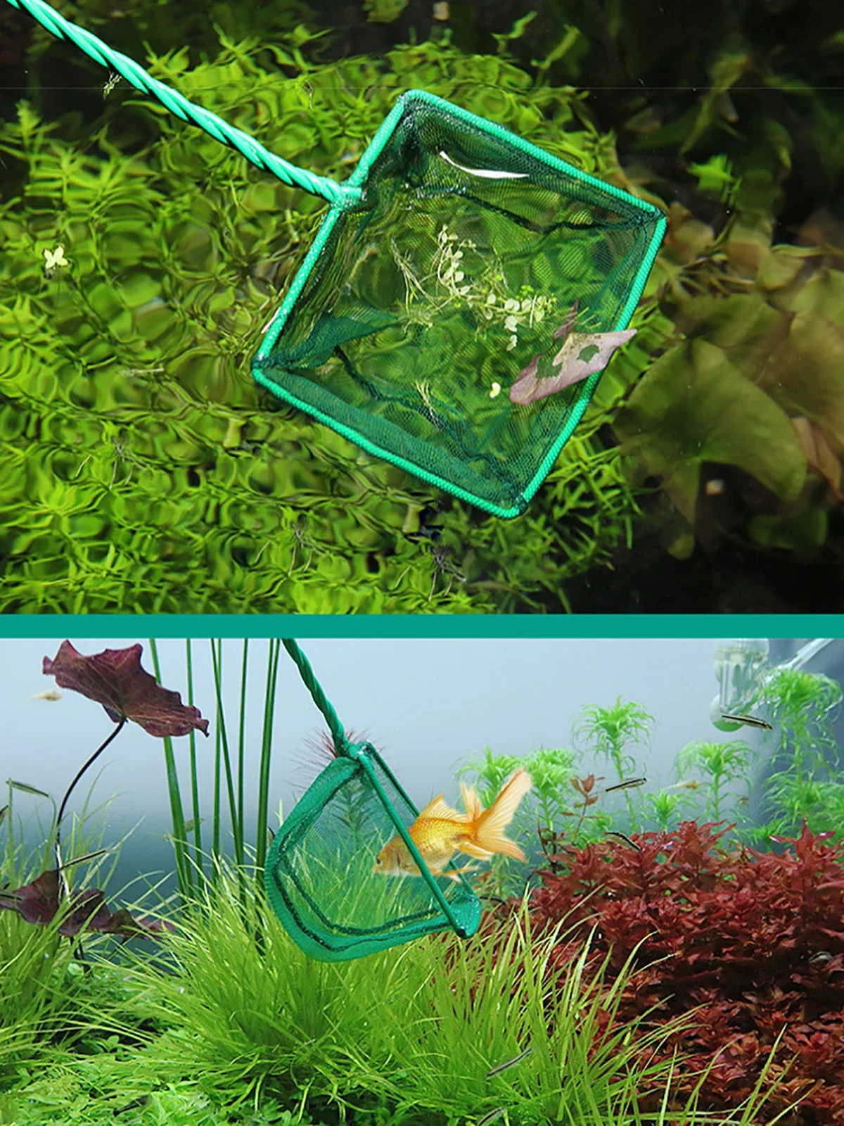 Tragbares Fischernetz für Aquarien, zum Fangen von Fischen, schwimmendes Filternetz für Teiche und Pools, Blätterabziehnetz 3/4/5/6/8/10/12 Zoll – Detail 6