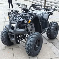 125cc  Adult Atv Quad Bikes Atvs Payload Capacity 100-200kg 4-Stroke Engine Maximum Speed 50-75Km/h