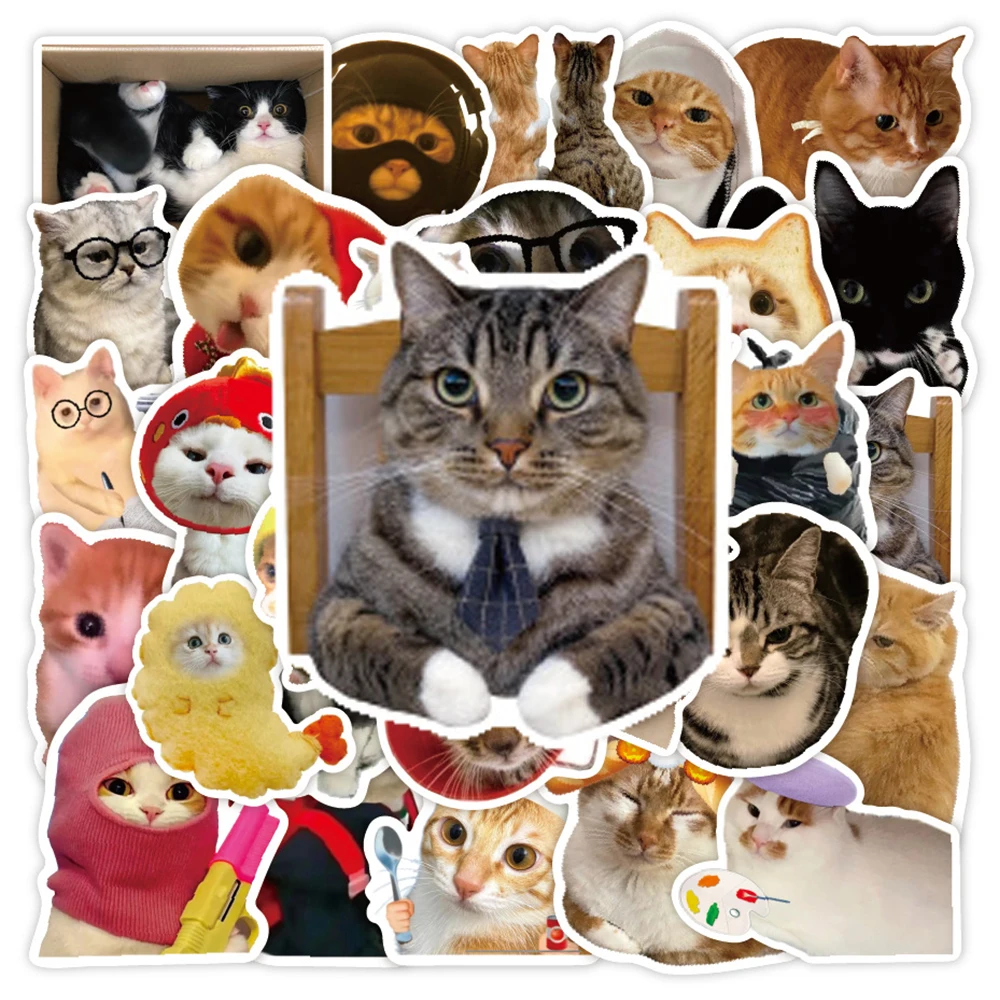 10/30/50pcs Classic Creative Cat MEME Stickers Funny MEME Decals for Notebook Phone Stationery Cute Animal Graffiti Sticker Pack