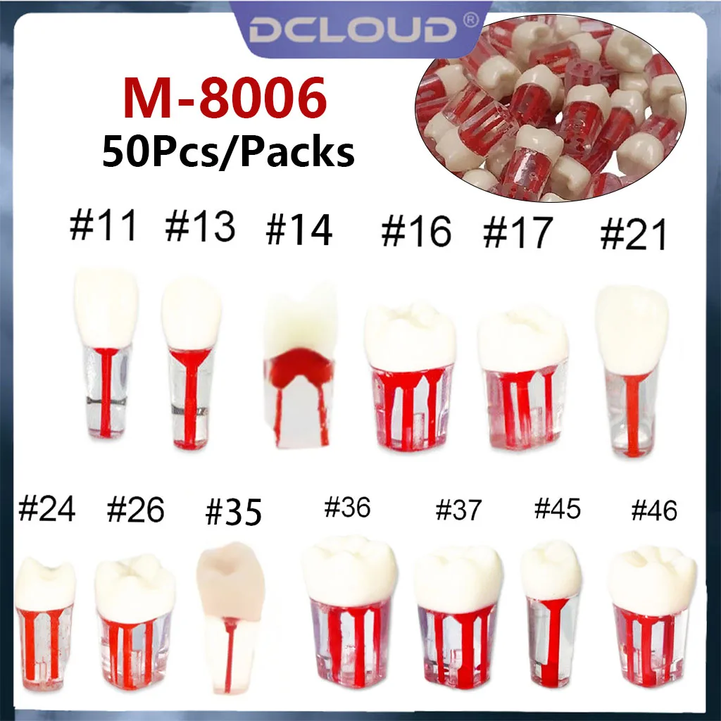 

50Pcs Dental Tooth Model Root Canal RCT Practice Tooth Pulp Cavity Resin Teeth Study Endodontic Training Teaching Study Model