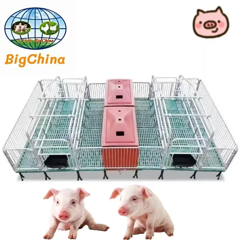 

Manufacturer Direct Sales - Sow Farrowing Crate, Lactation Pen, Farrowing Pen, Hog Cage Crates for Pigs