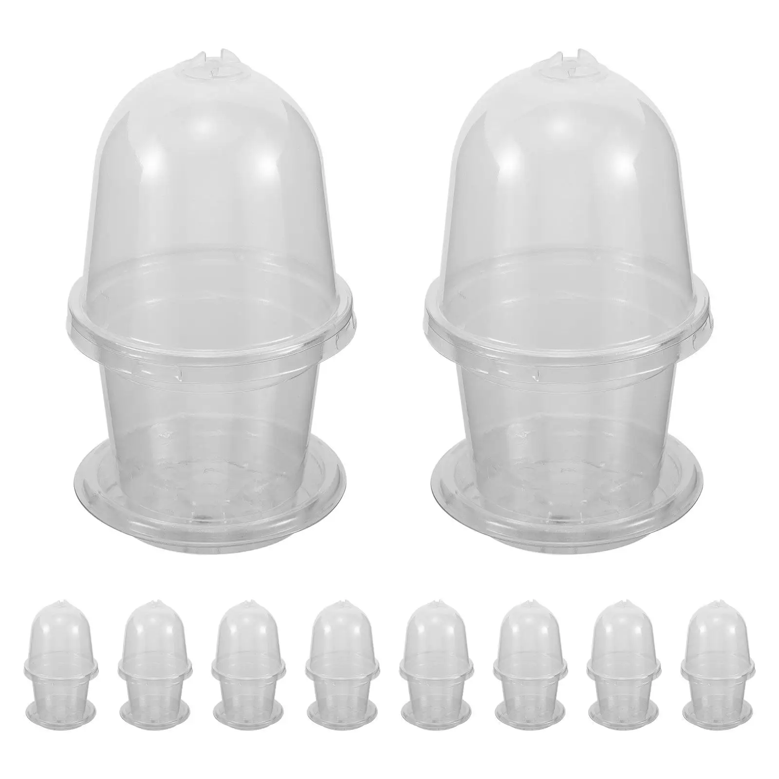 10Pcs Transparent Seed Starter Cups Nursery Pots Clear Lid Germination Containers Indoor Balcony Garden Planter