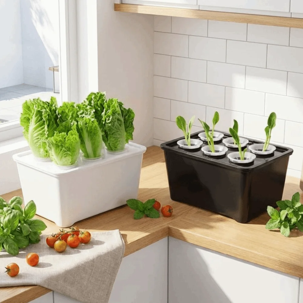 6 Holes Hydroponic Grower Kit Self Watering Plastic Soil-Free Planting Box Planting Container Thicken Nursery Pots