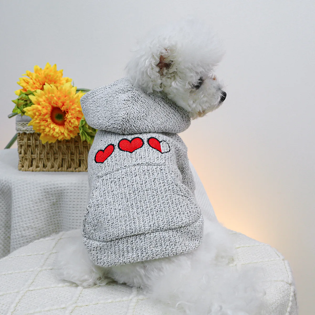 

Pet Clothes Dog Cat Clothing Clothing Hood Careful Sweater