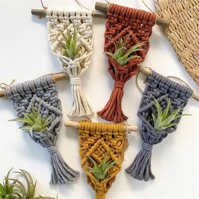 Various Colours Macrame Air Plant Holder Boho Style Cotton Hand Weaving Hanging Planter For Home Decor Living Room Decoration