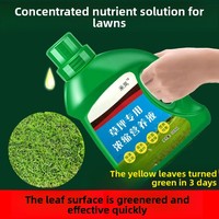 Lawn Green Dye Fast Coloring Spray for Dry Yellow Grass Garden Turf Care Nutrient Solution