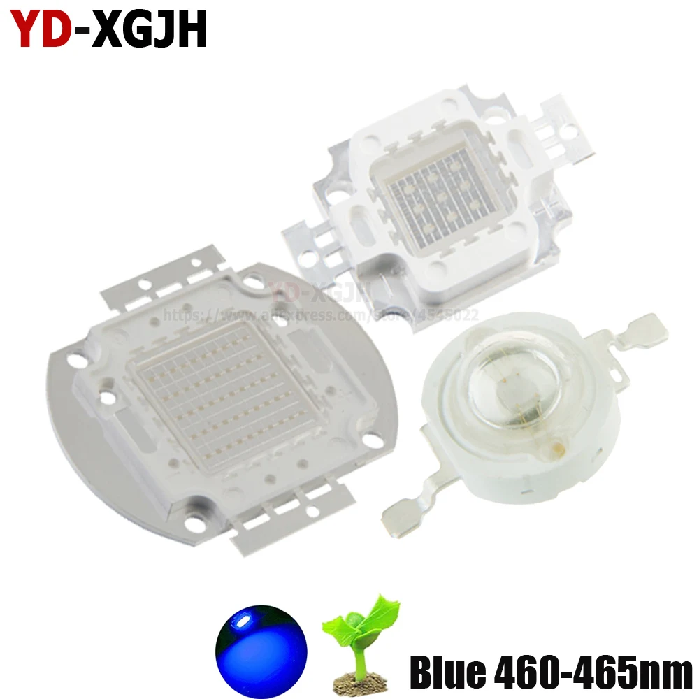10W High Power LED Plant Grow Light Chip Royal Blue 445nm 460nm with 1000mA DC9-11V for Golden Ballroom Garden Growth 30mil 45mi