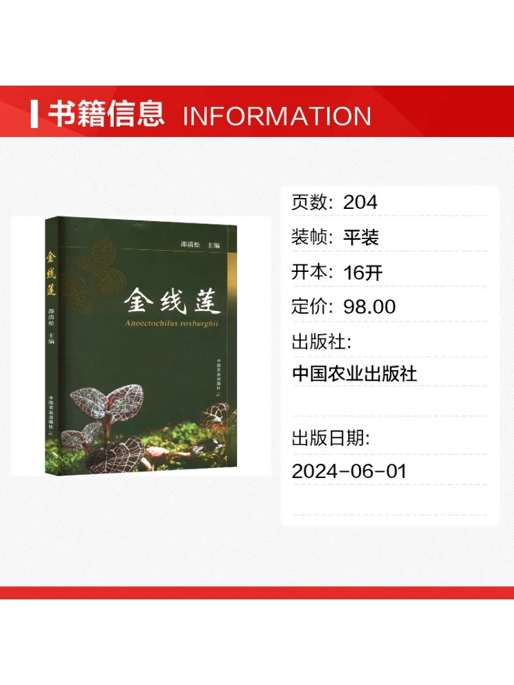 Book-Winshare Golden Thread Lily
