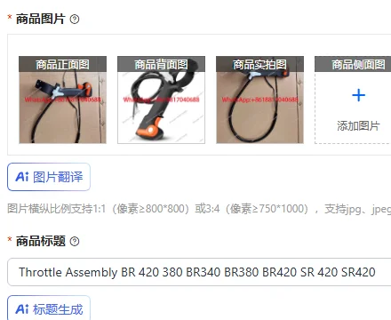 

Throttle Assembly BR 420 380 BR340 BR380 BR420 SR 420 SR420