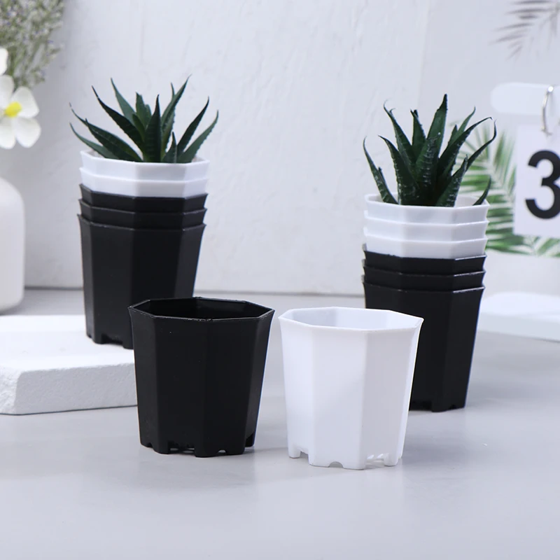 10Pcs Simple Octagonal Flowerpot Black White Plastic Solid Small Seedling Pot Desktop Succulent Breathable Pot Decoration