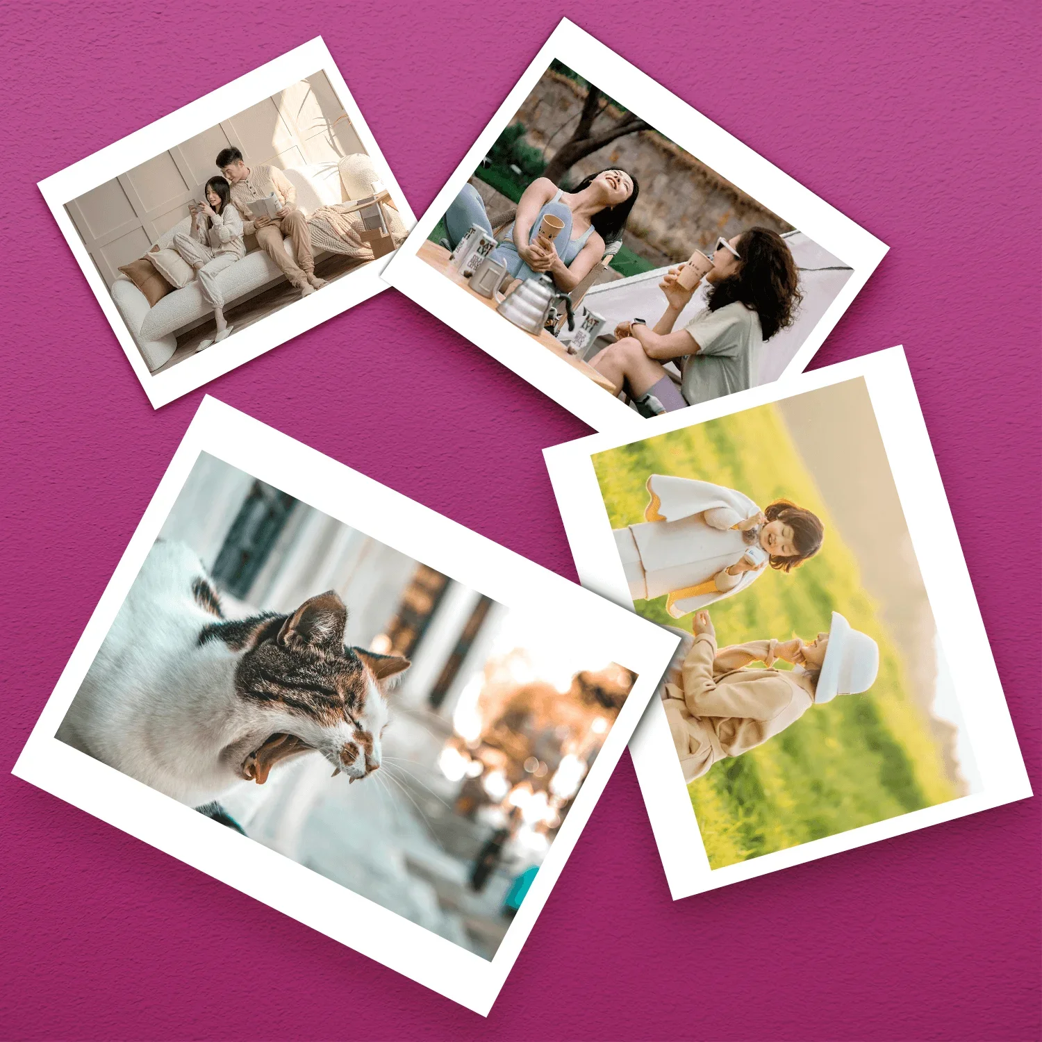 1-6 رولز العلامة التجارية الجديدة شنغهاي 620 كاميرا فيلم ISO 200 الذهب 200 لفة HD كاميرا اللون فيلم سلبي 01-2026 جودة عالية