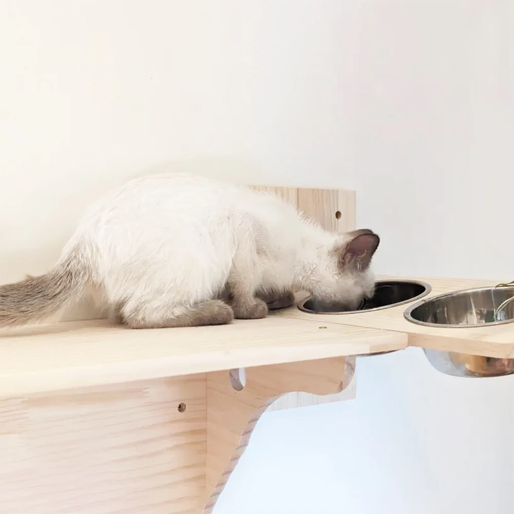 #55 Popular Stainless Steel Dog Bowls Choices