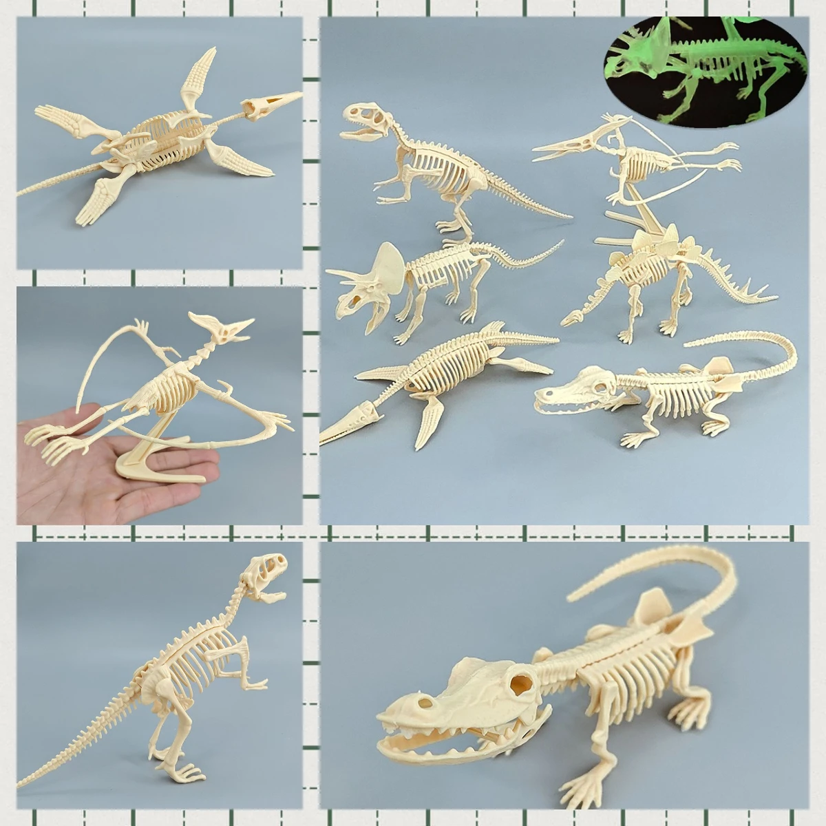 Children's DIY Handmade Dinosaur Skeleton Assembly Kit Simulation Dinosaur Fossil Plastic Skeleton Model Tyrannosaurus Rex Model