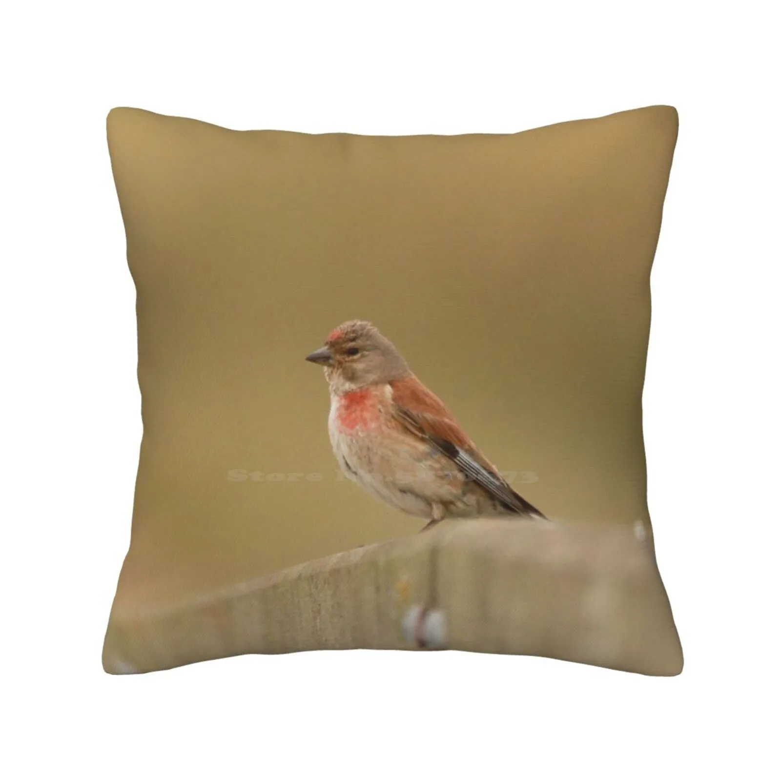 Lovely Linnet Throw Cushion Pillow Cover Linnets Summer Birds