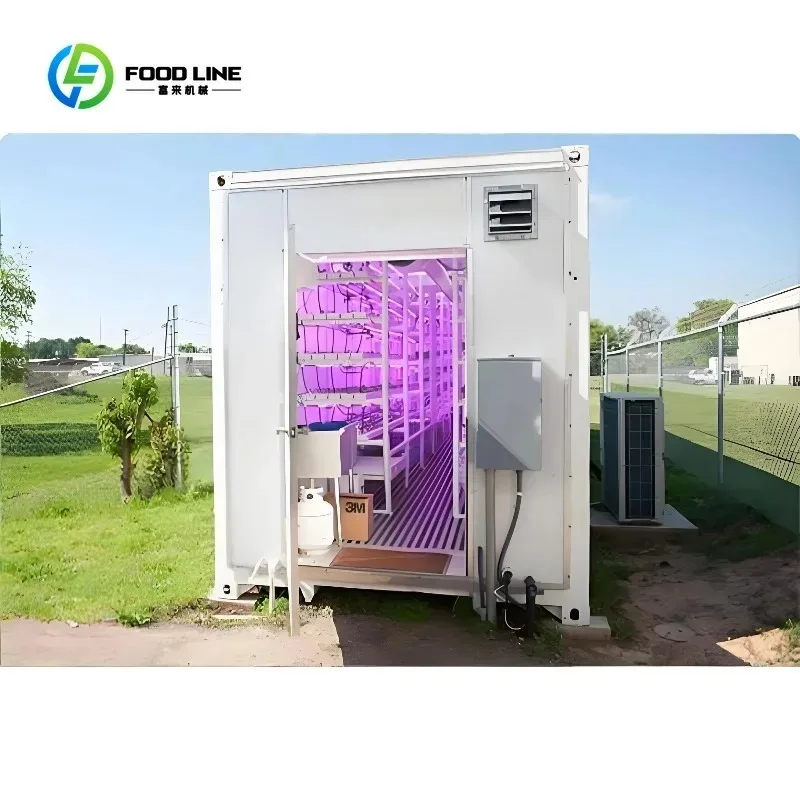 Customized 40ft Smart Hydroponic Container Greenhouse Auto Temperature Control Vertical NFT Grow System for Microgreen Farming