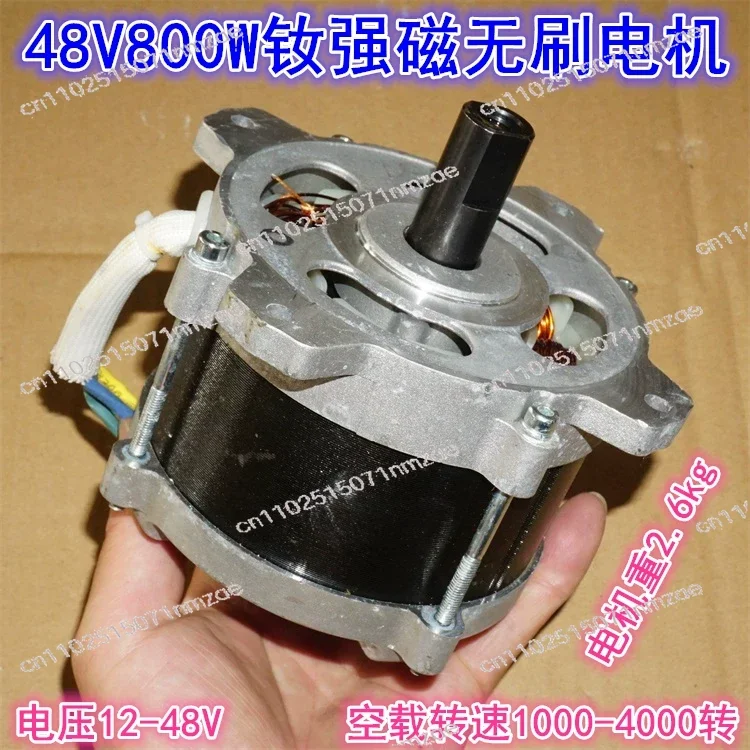 

24V 36V 48V 800W High Torque Neodymium Magnetic Brushless Power Motor