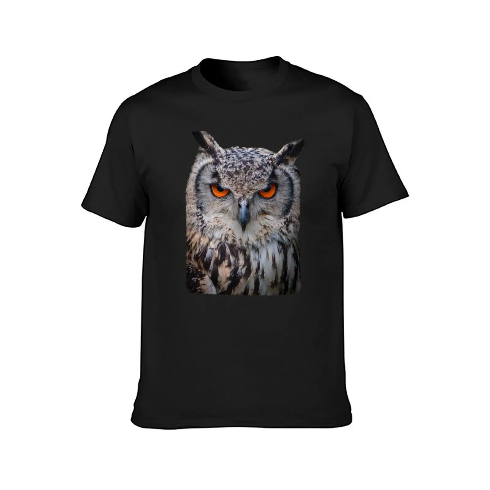 Amber eyes of an Indian Eagle Owl T-Shirt blacks plain vintage clothes Men's t-shirts