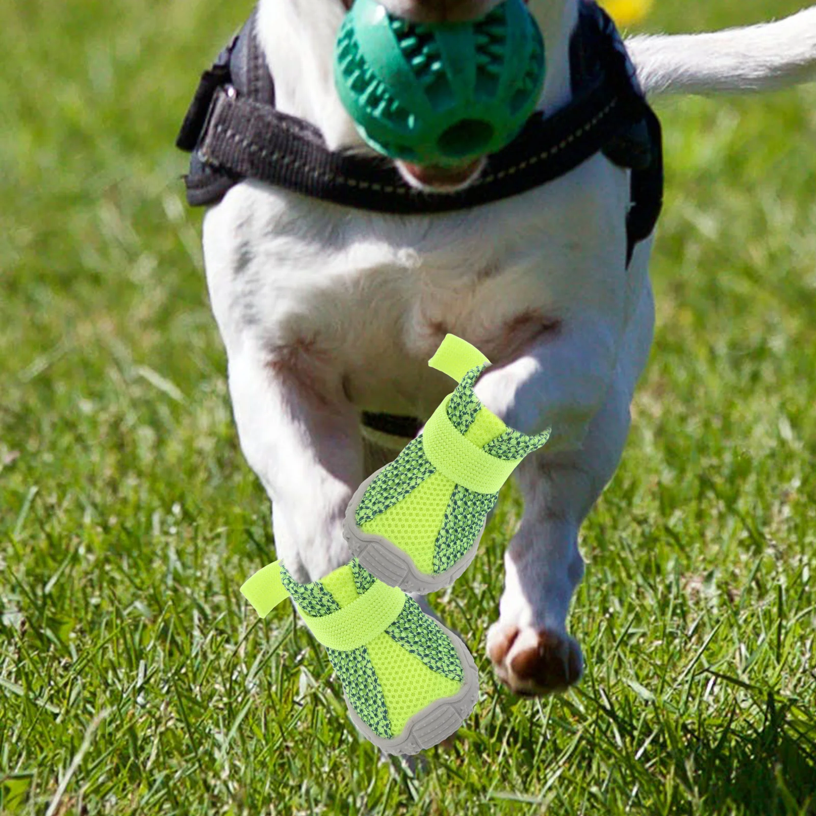 

4pcs Pet All-Season Sports Shoes For Small Dogs Non-Slip Breathable Dog Booties Lightweight Paw Protector Outdoor Walking