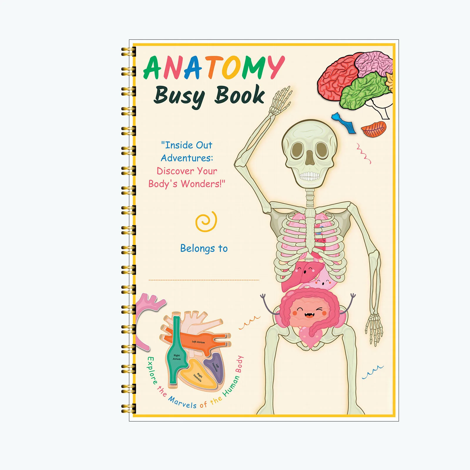 

2025 Hot Selling Popular Practical and Stress-relieving New Solid A4 Best-selling Size Creative Human Anatomy Busy Book
