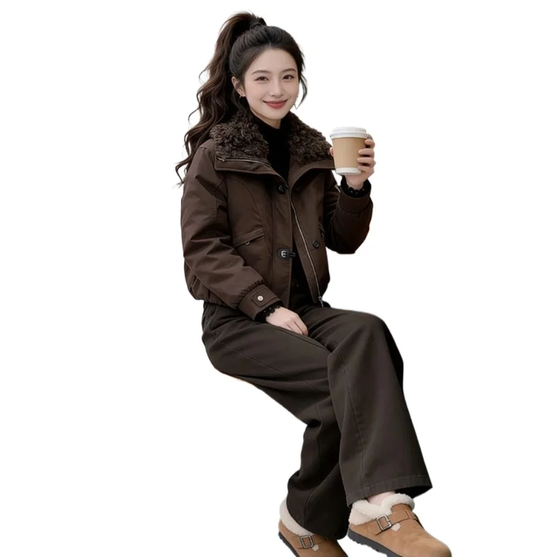 Internet Celebrity Commuting Coat Lamb Wool Large Lapel Short Coat Women's Winter Fashion Loose Casual Small Thickened Tooling