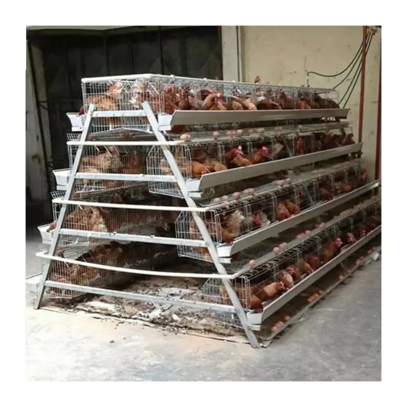  chicken coop 3 Tiers Poultry Chickens Layer Battery Cages Poultry Farm Galvanized Laying Hen a Type Egg Layer Chicken Cage for 
