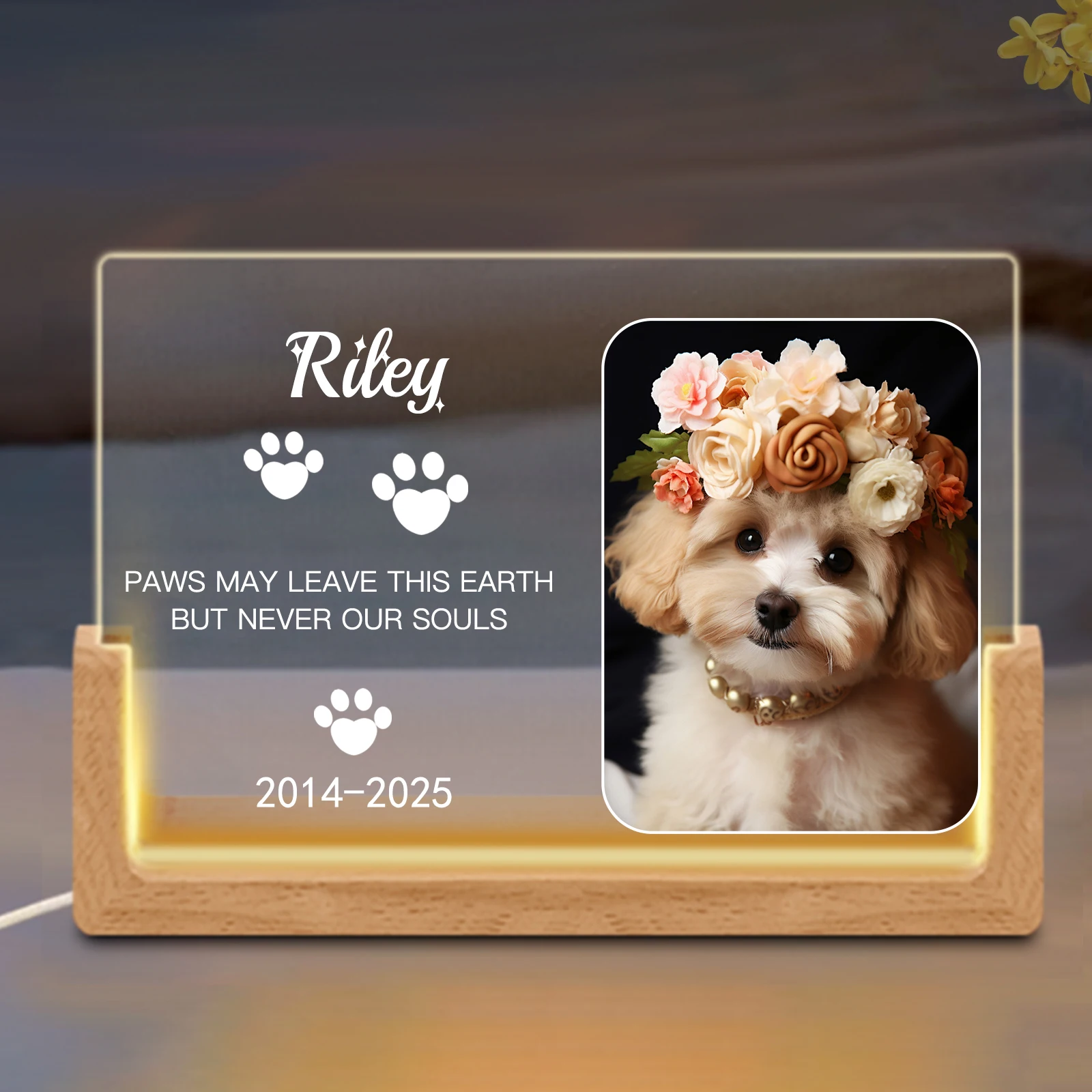 

Personalized Pet Memorial Night Light, Custom Dog Cat Photo Lamp with Name Date, Acrylic Plaque Keepsake Pet Loss Sympathy Gift