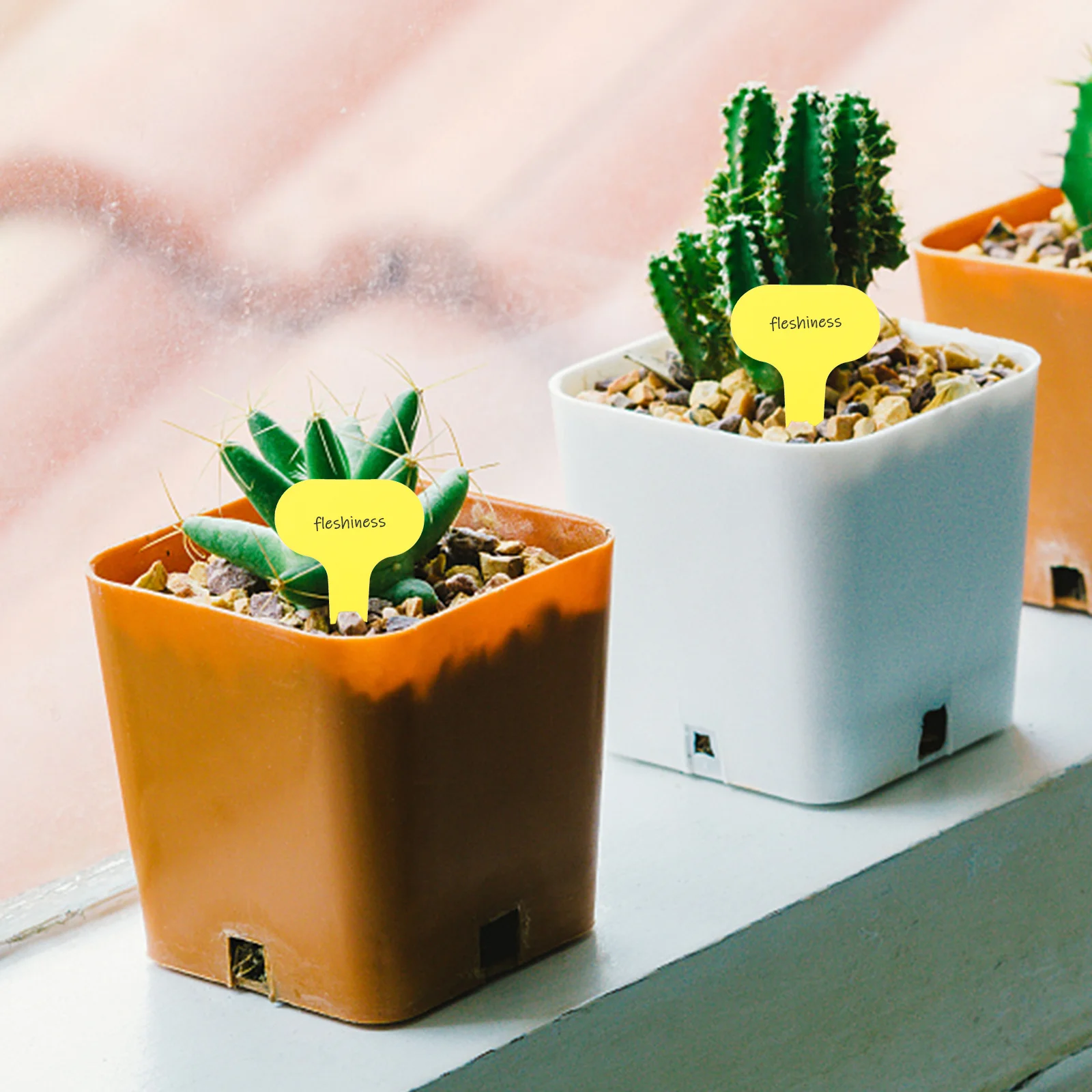 100 قطعة من ملصقات النباتات على شكل حرف T علامات حديقة متينة للحضانة سهلة الإدراج ديكور أنيق لمحبي الزهور #3