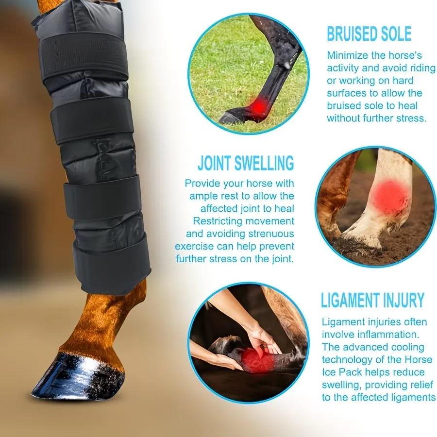 1 Multifunktionale Eisbeinbandage für Pferde, wiederverwendbarer Kühlprotektor für Pferdebeine, spezielle Beinbandage für Reitsporttraining und Erholung, verstellbare Eisbeinbandage für Pferde, Kühl- und Erholungsprotektor für Pferdebeine, Erholung nach dem Training für schmerzende Pferdebeine, multifunktionale Eisbeinbandage für Pferde, wiederverwendbarer Kühlprotektor für Pferdebeine, spezielle Beinbandage für Reitsporttraining und Erholung – Detail 1