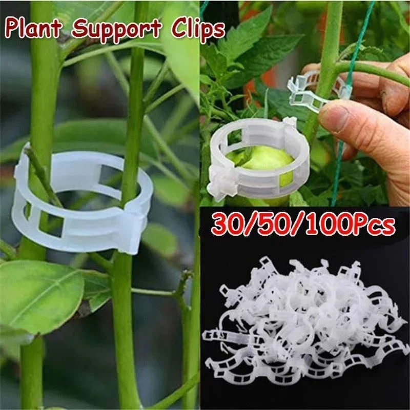 

30/50/100 Pcs Plastic Plant Support Clips for Plant Hanging Vegetables Garden Ornament