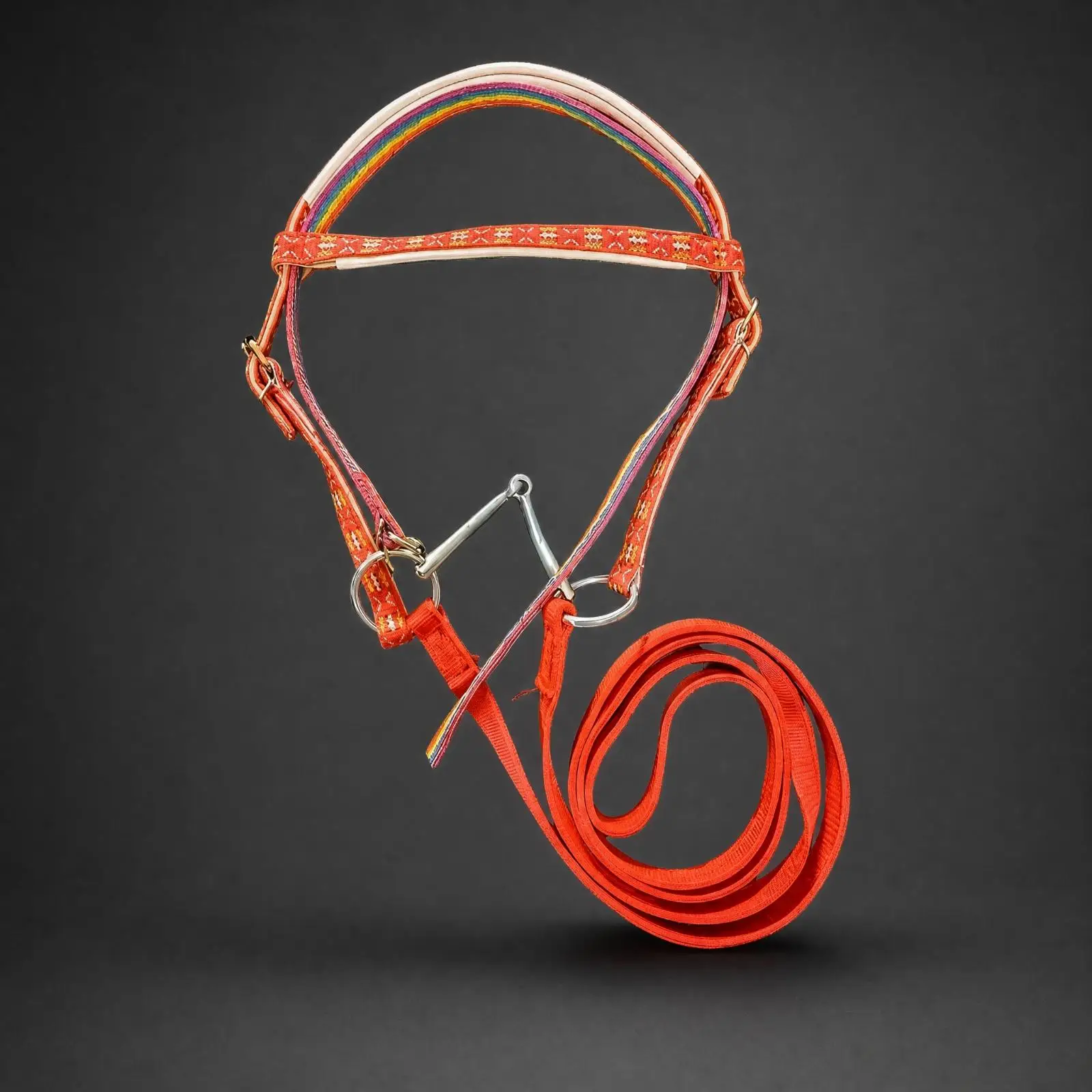 Adjustable Nylon Equestrian Bridle Set with Metal Bit and Reins for Horse Training Stable Care