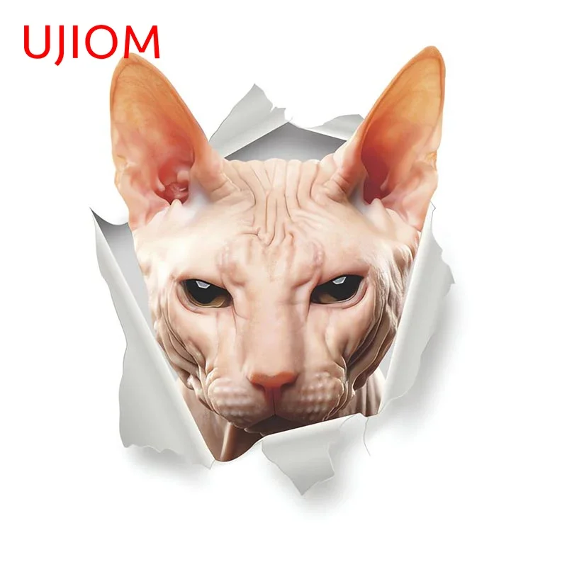 UJIOM 13cm X 10.6cm Sphinx Cat Crack Wall Sticker Waterproof Decal Creative Bedroom Living Room Kitchen Decorate Floor Vinyl