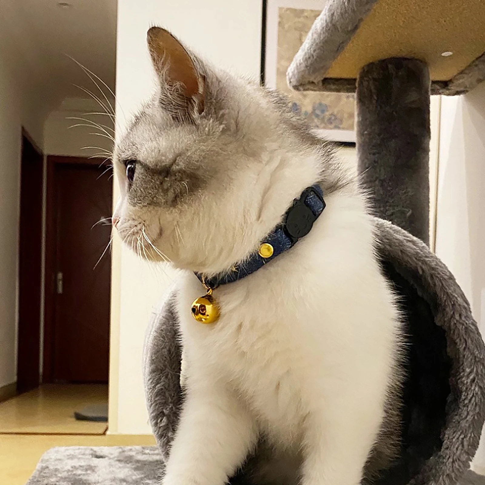 

Cat Collar Breathable Pet Adjustable Neckwear The Bell for Daily Kitten Necktie Fabric with Charm