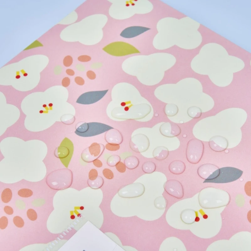 4x Mở rộng thư mục tệp Tổ chức tài liệu Thư mục in hoa cho trường học