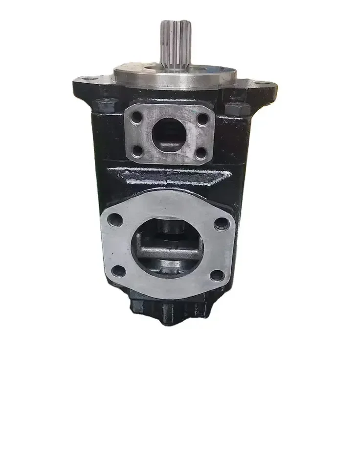 

2026 Replacement 706445 31L1-03000 31lH-00200 31lB-00400 31LB-40300 Hydraulic Main Pump Assey Double Vane Pump for Sale