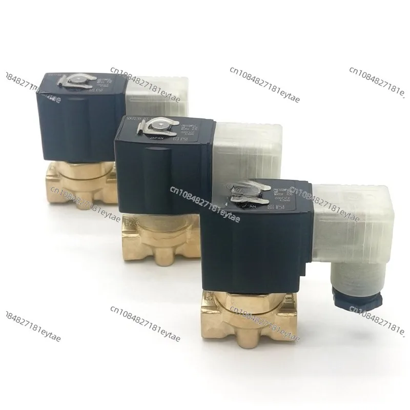 

VX2110 VX2120 VX 2130-01 - 0 2 - 5DZ1 5D1 5G1 Brass 2-way Solenoid Valve