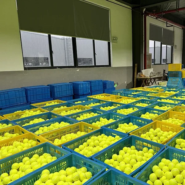 Winnison 3-Pack Training Tennis Balls, Portable Packaging, High-Elasticity Practice and Entertainment Tennis Balls