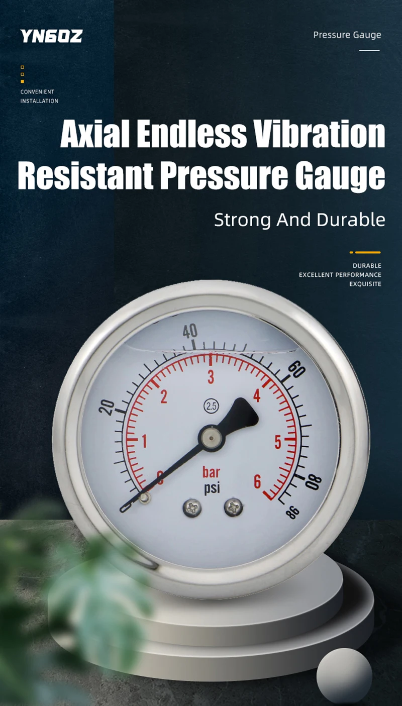 MAIRUIKSI Dry Pressure Gauges 60mm(2.5\